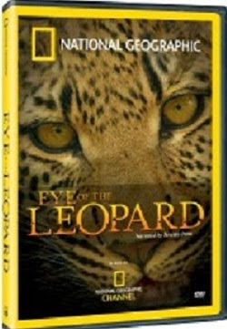 NG Eye-of-the-Leopard - HD