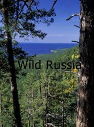 WILD RUSSIA - HD