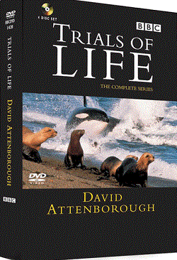 The Trials of Life - DVD