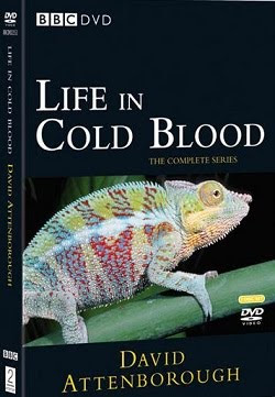 Life in Cold Blood - DVD