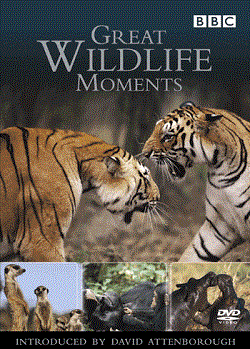 great wildlife moments - DVD