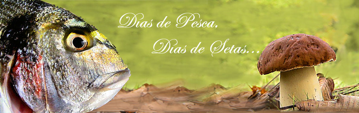 Días de pesca, días de setas ...