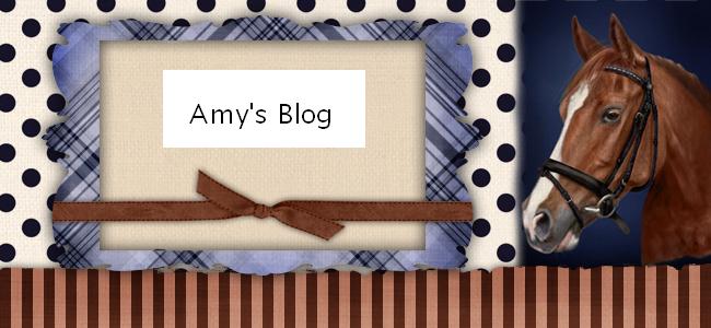 Amy's Blog