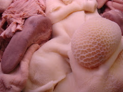 ox tongue & tripe