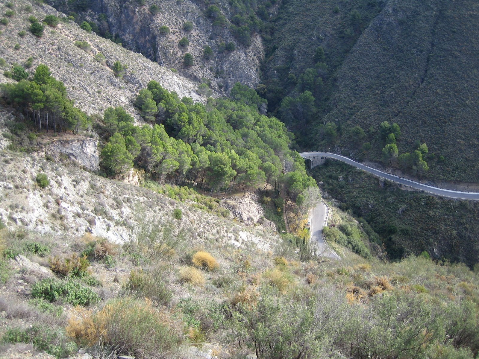 [IMG_8818.JPG]