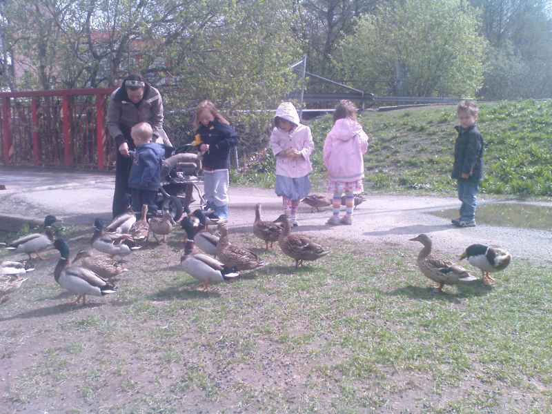 [image-upload-59-792497.jpg]