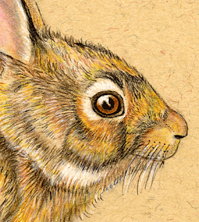 Heroic portrait: scáthach Image Maker: April 2010