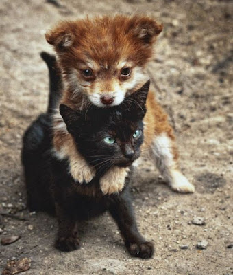 [verlinkte Grafik wurde nicht gefunden]