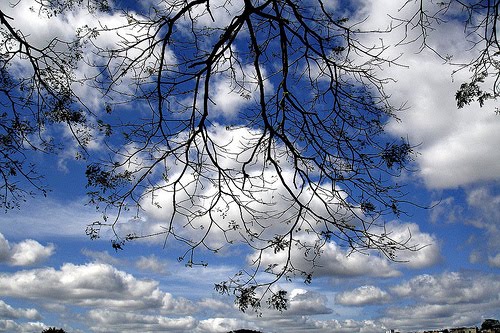 [2743244908_3e2fb790eb.jpg]