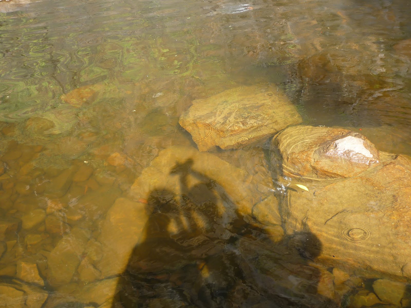 [P1030903.JPG]