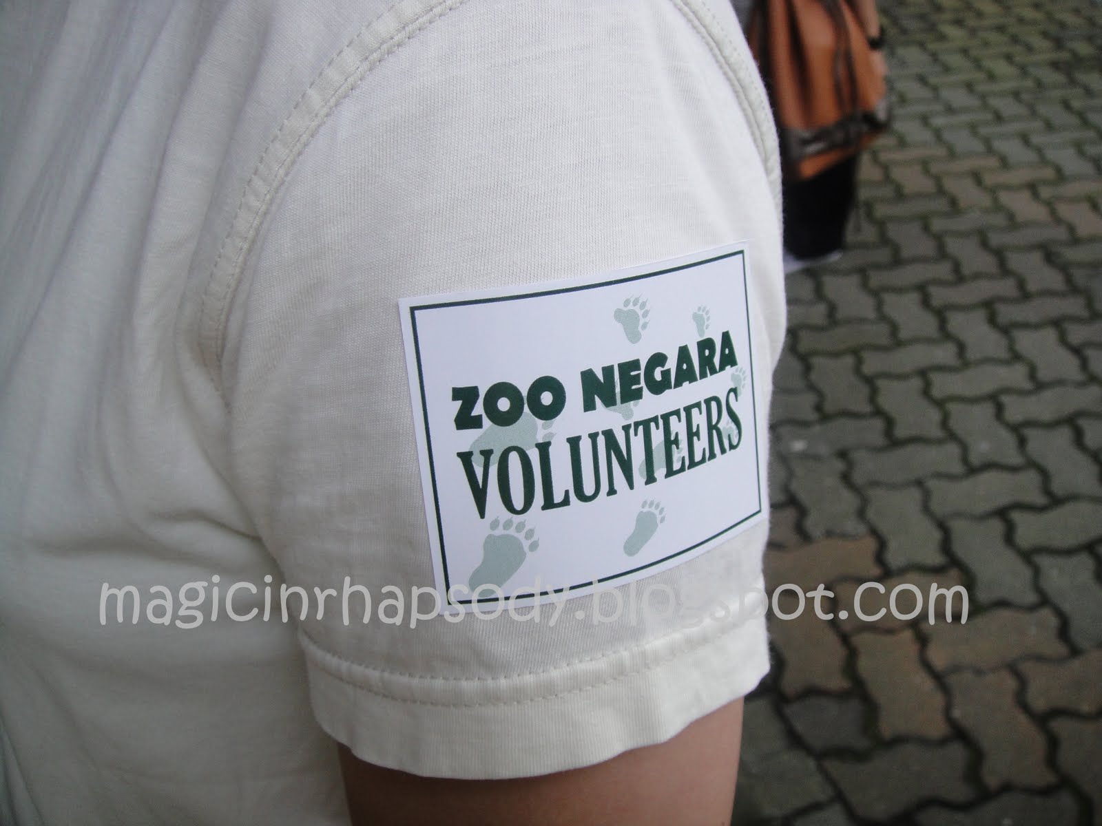 [DSC00951.JPG]