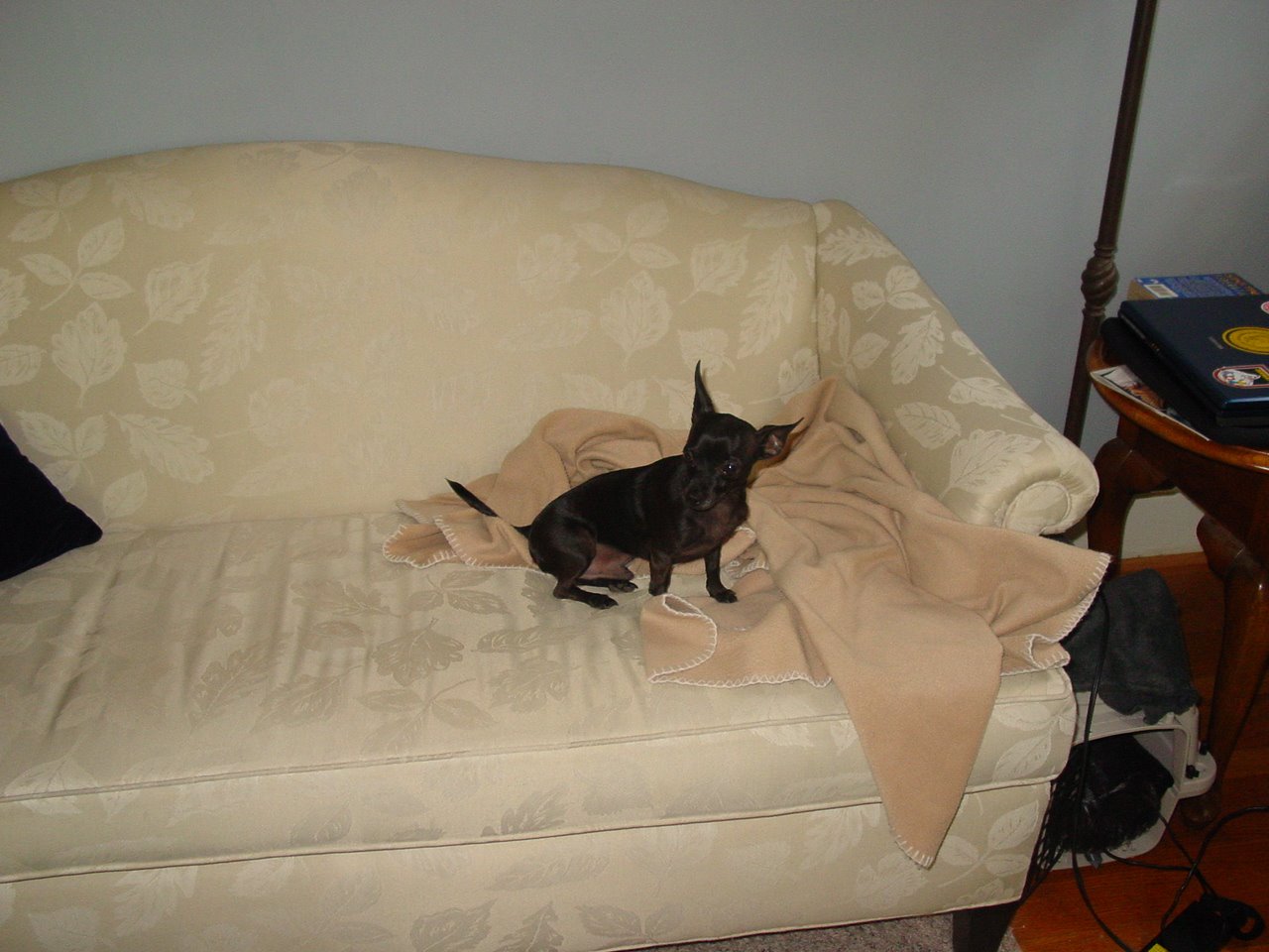 [DSC05068.JPG]