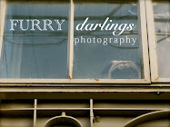 Furry Darlings Photography