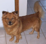Buster