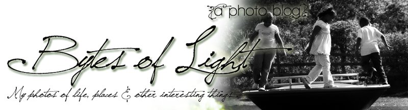 Bytes of Light