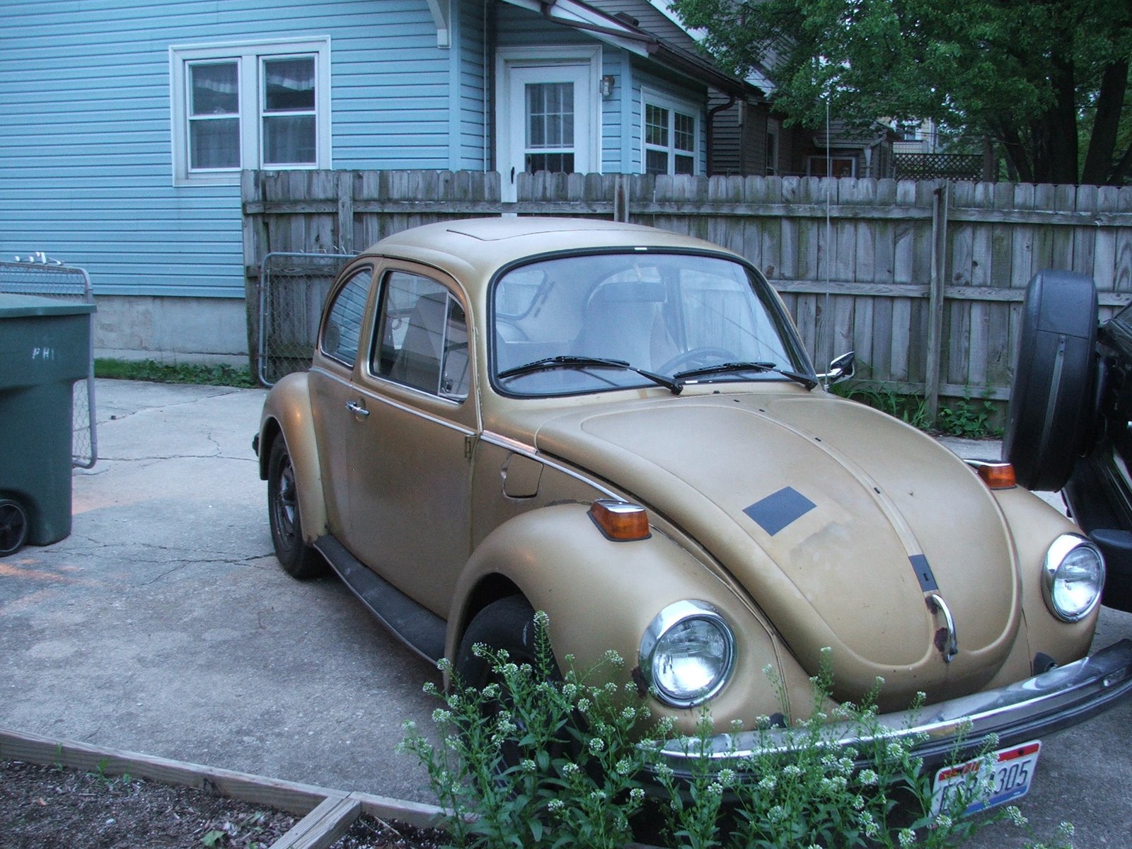 [bug'75+003.JPG]