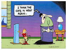 Cat in Heat