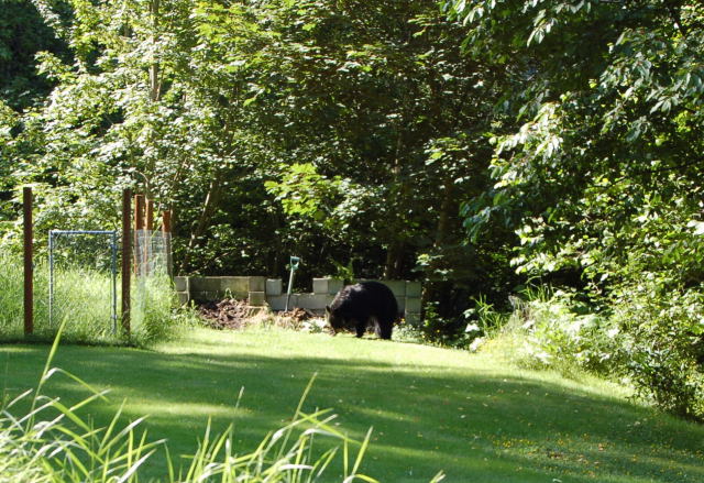 [W07_0188.JPG]