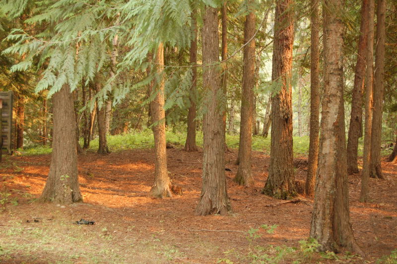 [W07_0252.JPG]