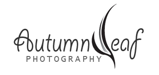 Autumnleaf Photography (Perth Photographer - Wedding, Engagement, Portraiture)