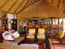 Elephant Valley Lodge ~Chobe ~ Botswana