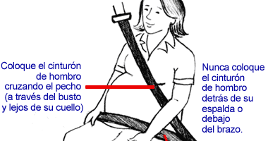 "Equipamiento automotriz": Cinturón de seguridad