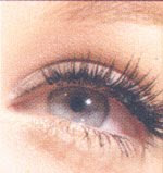 Silk Lashes Extension