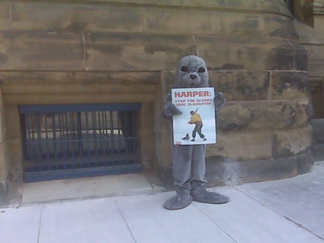 [10+sealsareadorable.jpg]