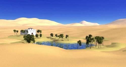 [oasis.JPG]