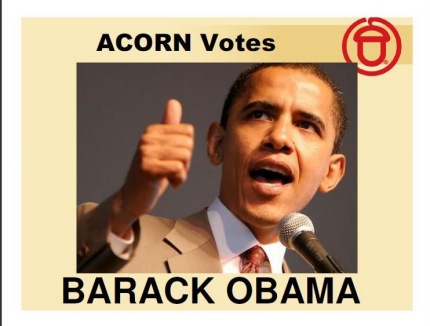 [acorn+votes.jpg]