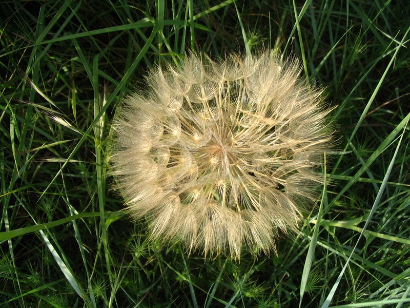 [IMG_1727.JPG]