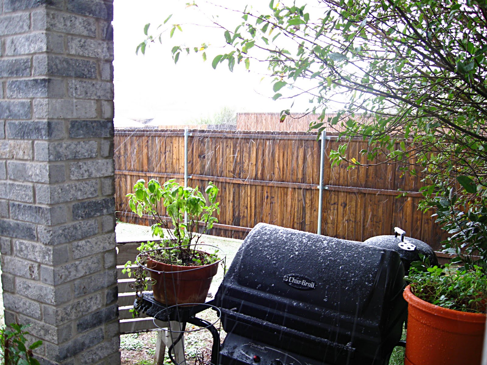 [Snow_12-2-2009.JPG]