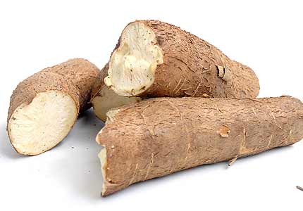 step to life cassava corn step to life cassava corn