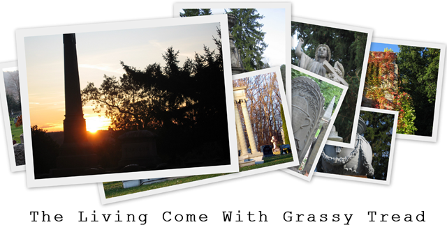 The Living Come with Grassy Tread