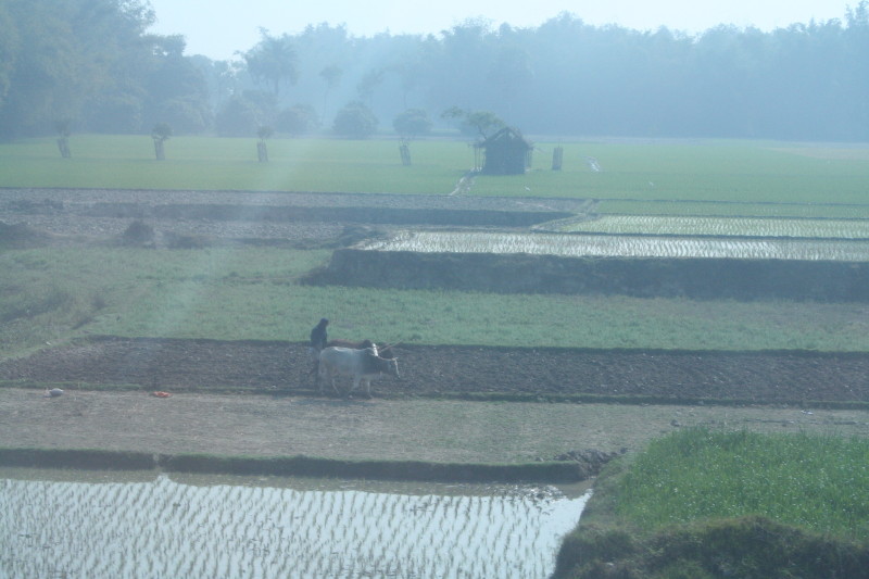 [ploughing+field.JPG]