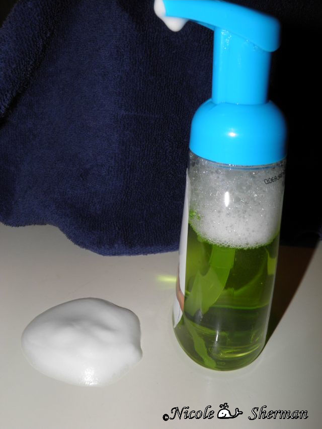 Homemade Foaming Hand Soap Colie's Kitchen