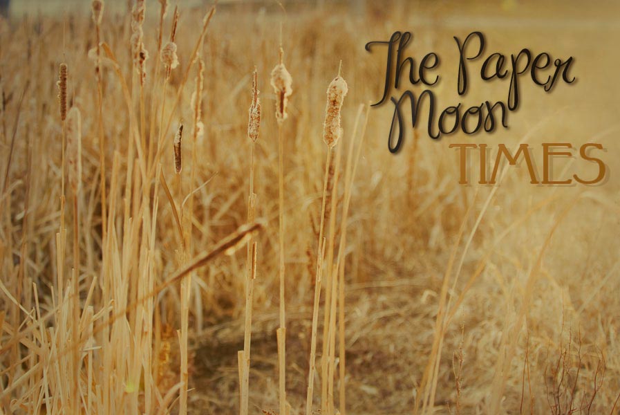 The Paper Moon Times