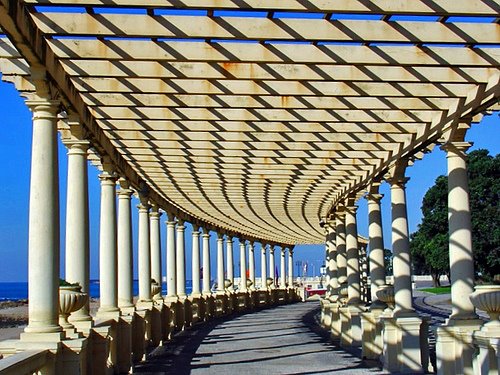 [pergola.jpg]