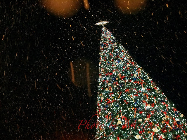 迪士尼雪亮聖誕 小小世界過聖誕 大街玩具巡禮 disneyland hong kong christmas