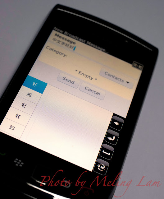 blackberry torch