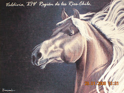 caballo del realizador Felipe Rencoret