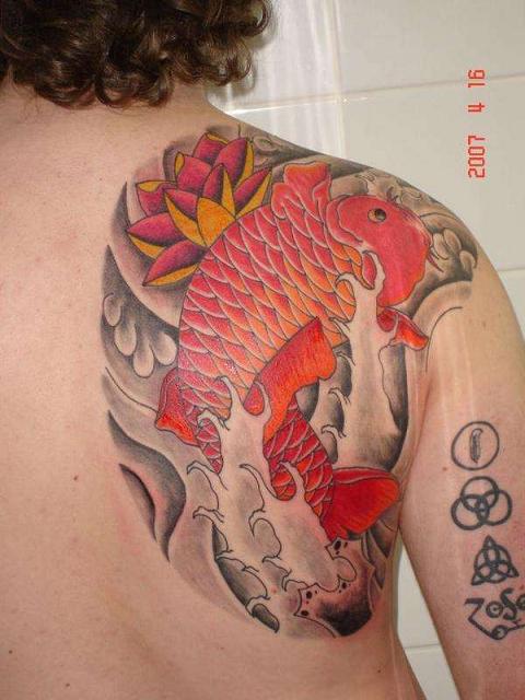 [Koi_Tattoo.jpeg]