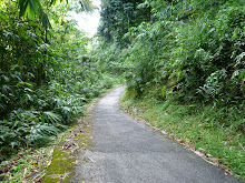 小时候的路