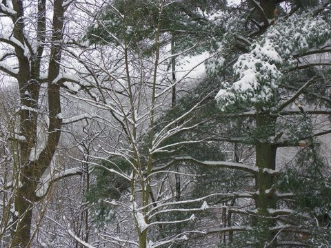 [100_0090.JPG]