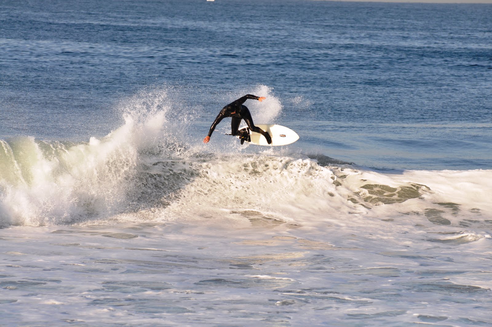 [DSC_0572.JPG]