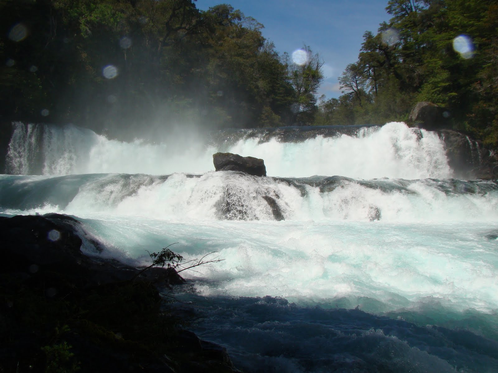 [DSC02604.JPG]