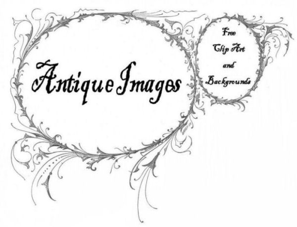 Free Antique Clip Art: Black free clip art flowers black and white. Free Antique Clip Art: Black