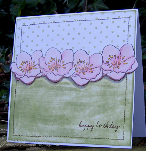 [dottyLentenRose.jpg]