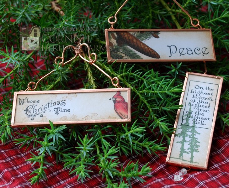 [evergreenSlides.jpg]