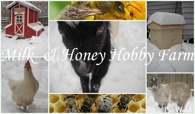 Milk & Honey Hobby Farm